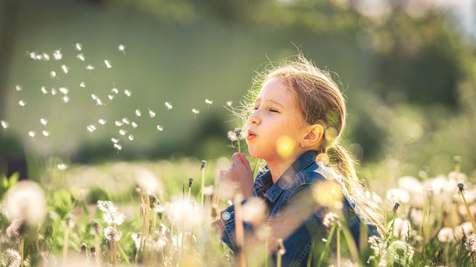 Kind pustet eine Pusteblume auf einer Wiese